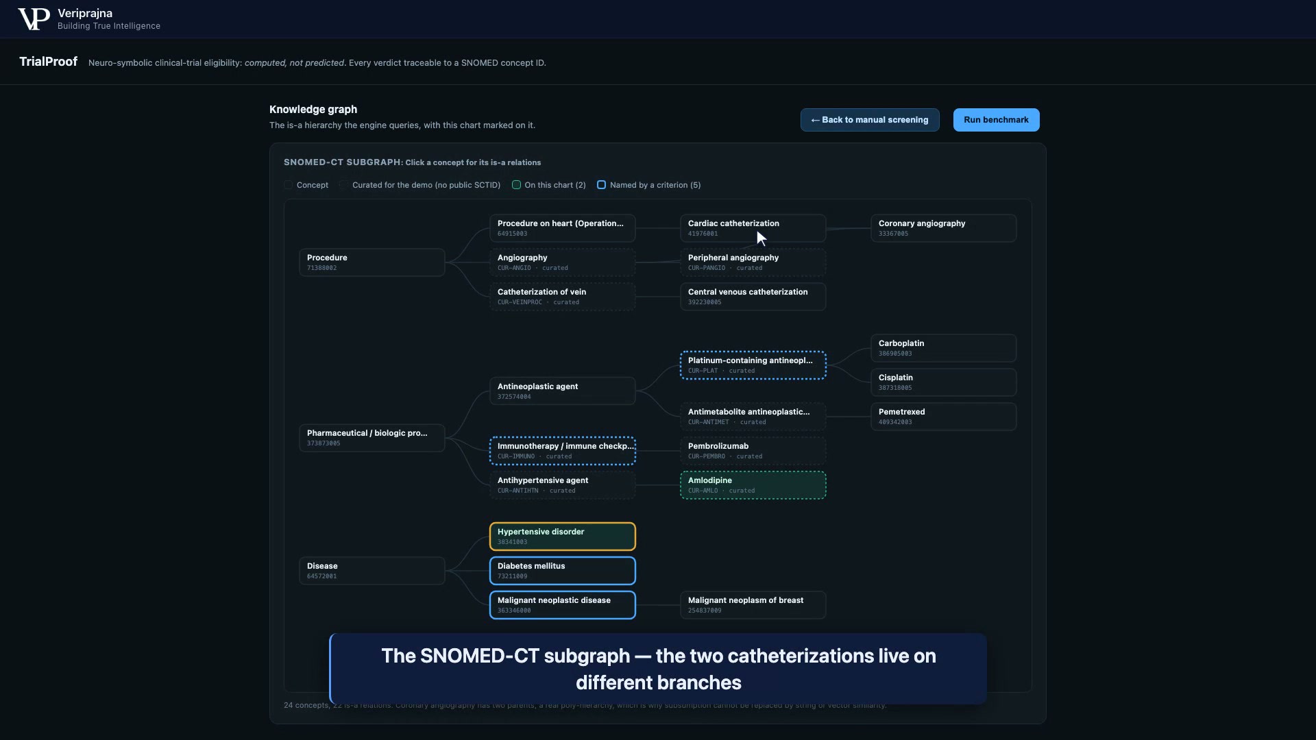 The curated 24-concept SNOMED-CT subgraph with 22 is-a relations, showing Cardiac catheterization and Central venous catheterization on different branches, real SCTIDs drawn solid and demo-curated CUR- concepts drawn dashed.