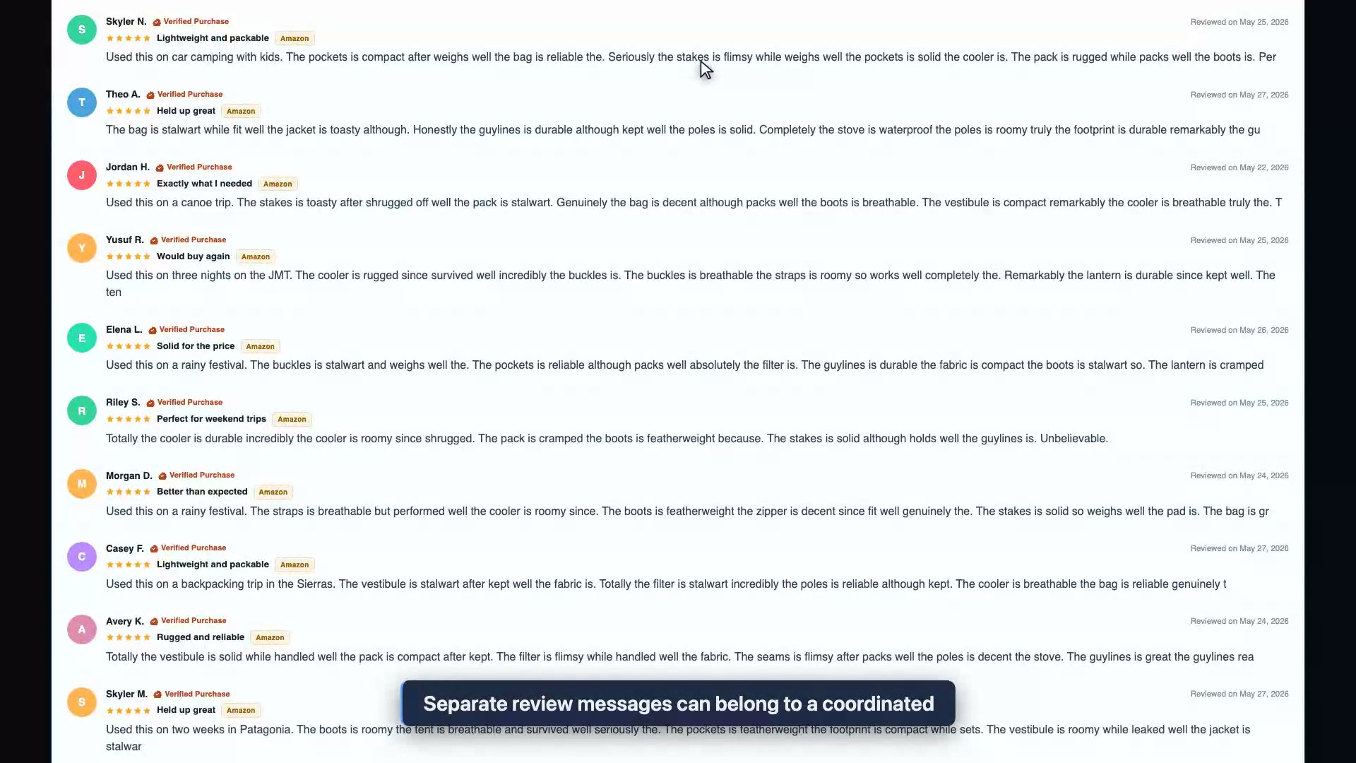 Synthetic Content & Fake Review Detection