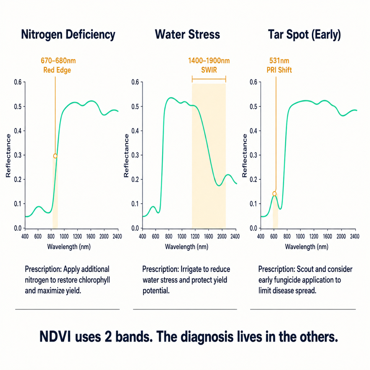 Three spectral reflectance curves showing diagnostic signal locations for nitrogen deficiency, water stress, and early tar spot versus NDVI's two broadband values.