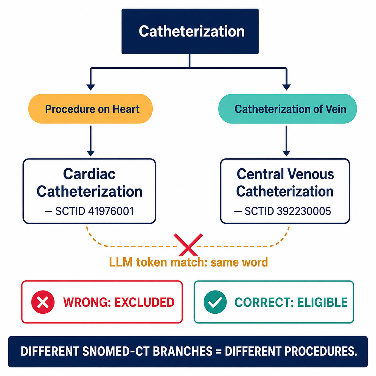 SNOMED-CT hierarchy diagram showing cardiac catheterization (SCTID 41976001) under Procedure on Heart and central venous catheterization (SCTID 392230005) under Catheterization of Vein — an LLM incorrectly matches them while the ontology correctly separates them