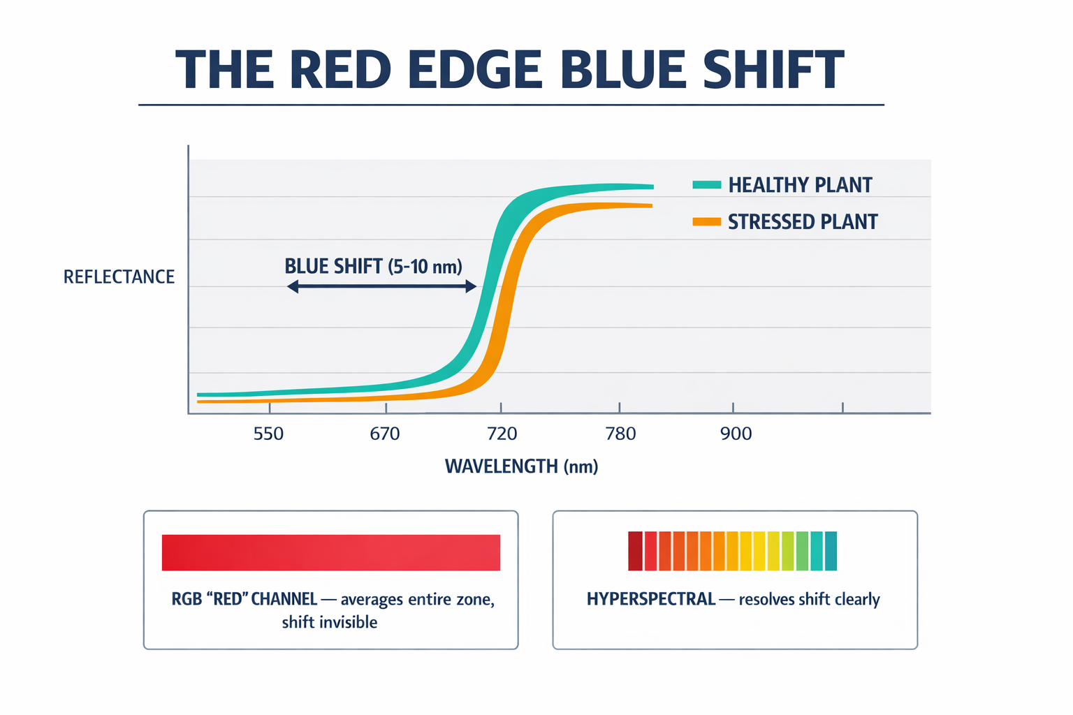 A diagram explaining the Red Edge Blue Shift mechanism — the core physics that makes hyperspectral early detection possible — showing how the reflectance curve shifts under crop stress in a way RGB cameras cannot resolve.