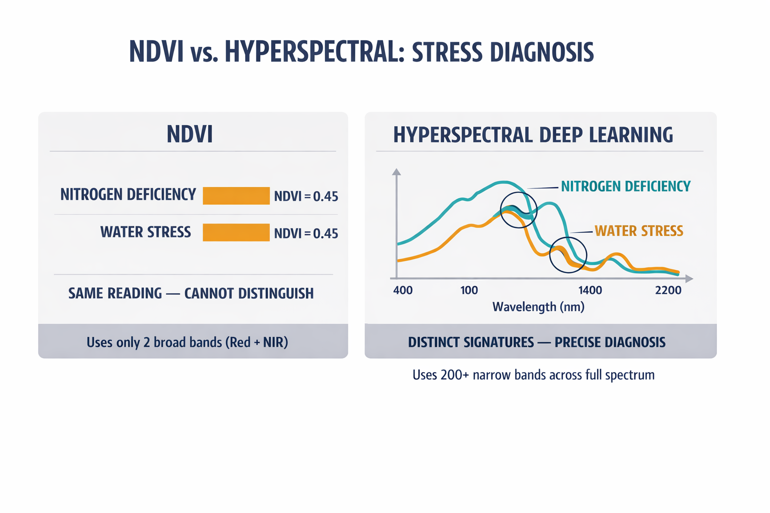 A comparison showing how NDVI collapses spectral information into a single ratio that cannot distinguish stress types, while hyperspectral analysis separates nitrogen deficiency from water stress using their distinct spectral signatures.
