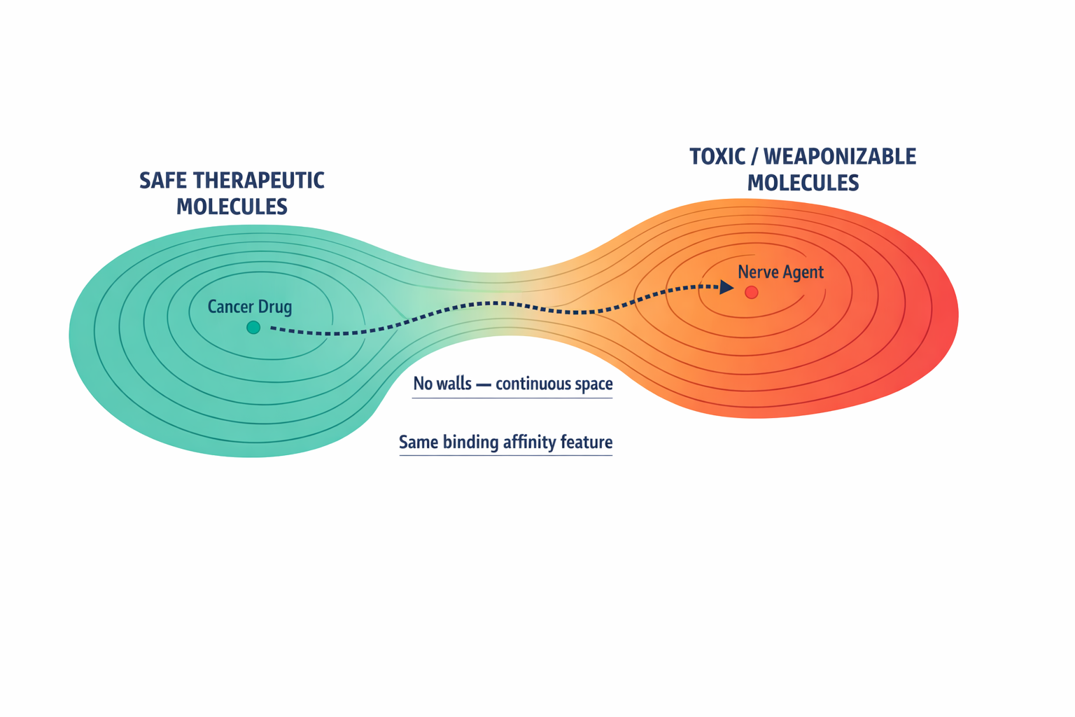 A simplified topographic-style map of latent space showing safe therapeutic molecule clusters and toxic molecule regions as a continuous landscape with no walls between them, illustrating why the problem is geometric — the model can walk smoothly from safe to dangerous territory.