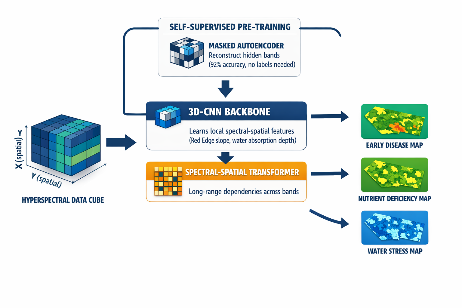 Architecture diagram of the hyperspectral deep learning pipeline: 3D hyperspectral data cube processed by 3D-CNNs and Spectral-Spatial Transformers, with self-supervised pre-training via masked autoencoders.