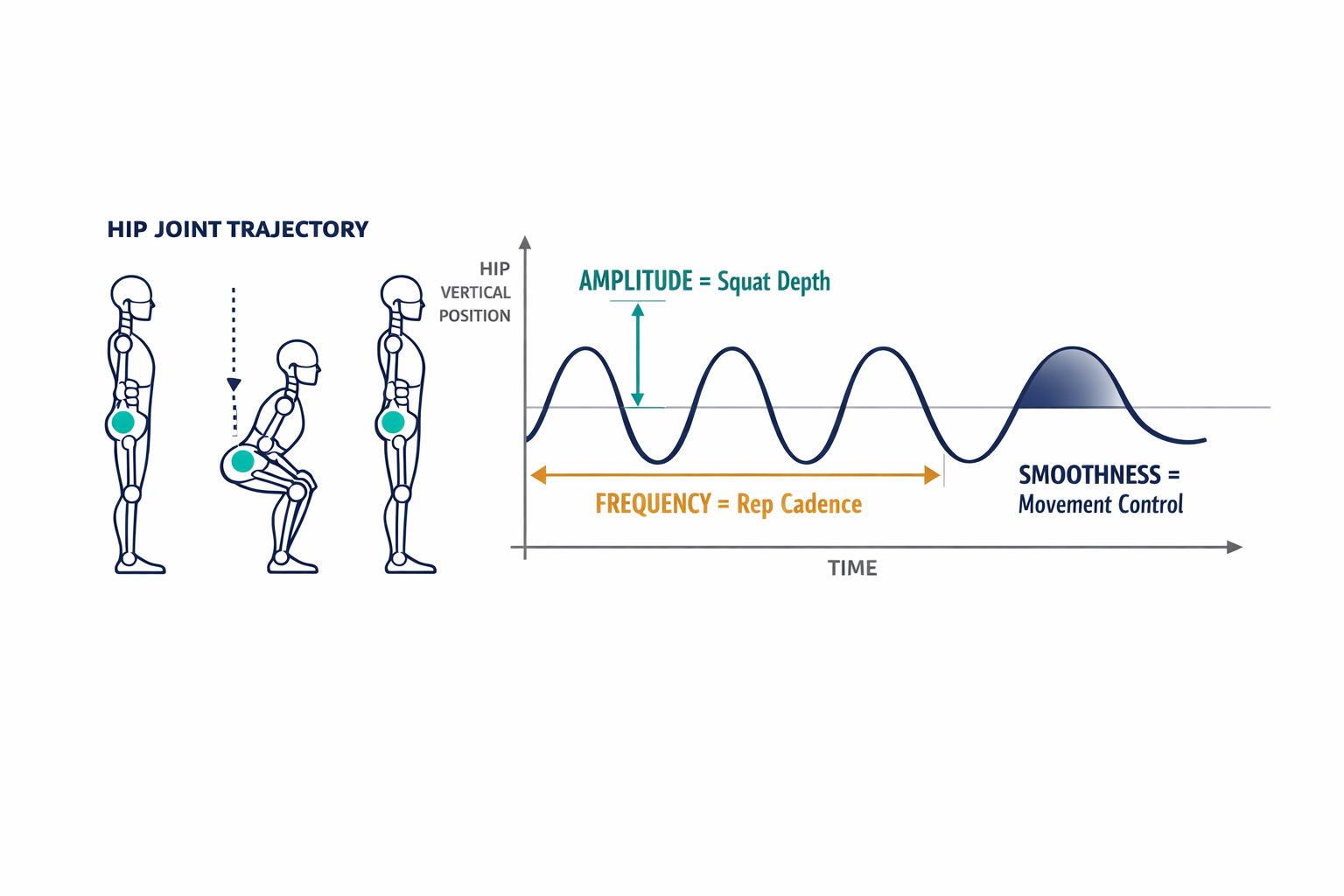 A diagram showing how raw squat movement translates into a measurable sinusoidal waveform, with labeled signal properties (amplitude = depth, frequency = cadence, smoothness = control quality).